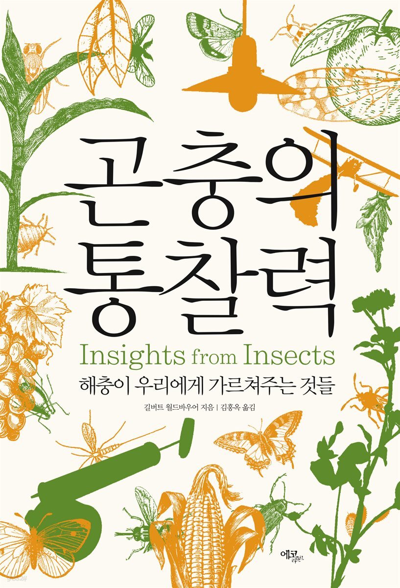 곤충의 통찰력