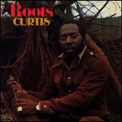 Curtis Mayfield — Roots 앨범 커버