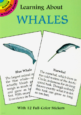 Learning about Whales [With Whales]