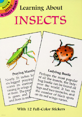 Learning About Insects