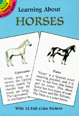 Learning About Horses