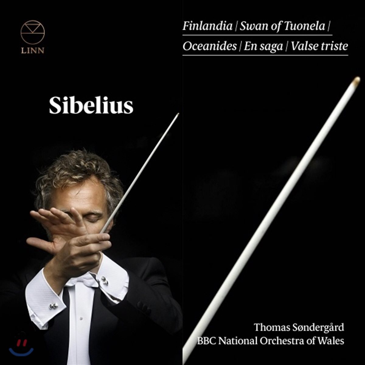 Thomas Sondergard 시벨리우스: 핀란디아, 엔 사가, 투오넬라의 백조, 슬픈 왈츠 외 (Sibelius: Finlandia, En Saga, The Swan of Tuonela, The Oceanides, Valse Triste)