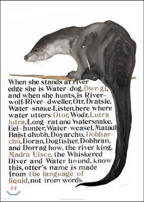 Jackie Morris The Names of the Otter Poster