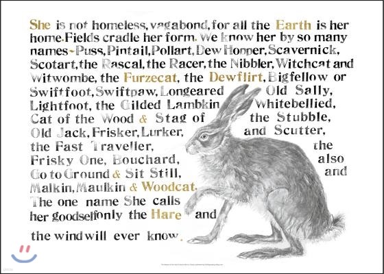 Jackie Morris The Names of the Hare Poster