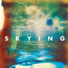 The Horrors — Skying (Special Edition) 앨범 커버