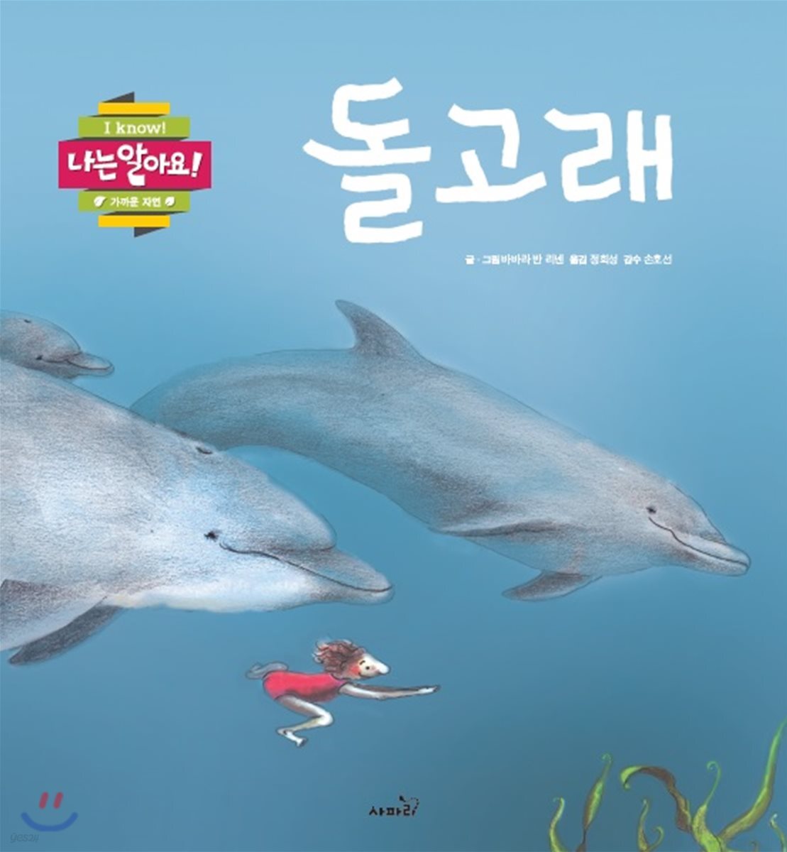 돌고래