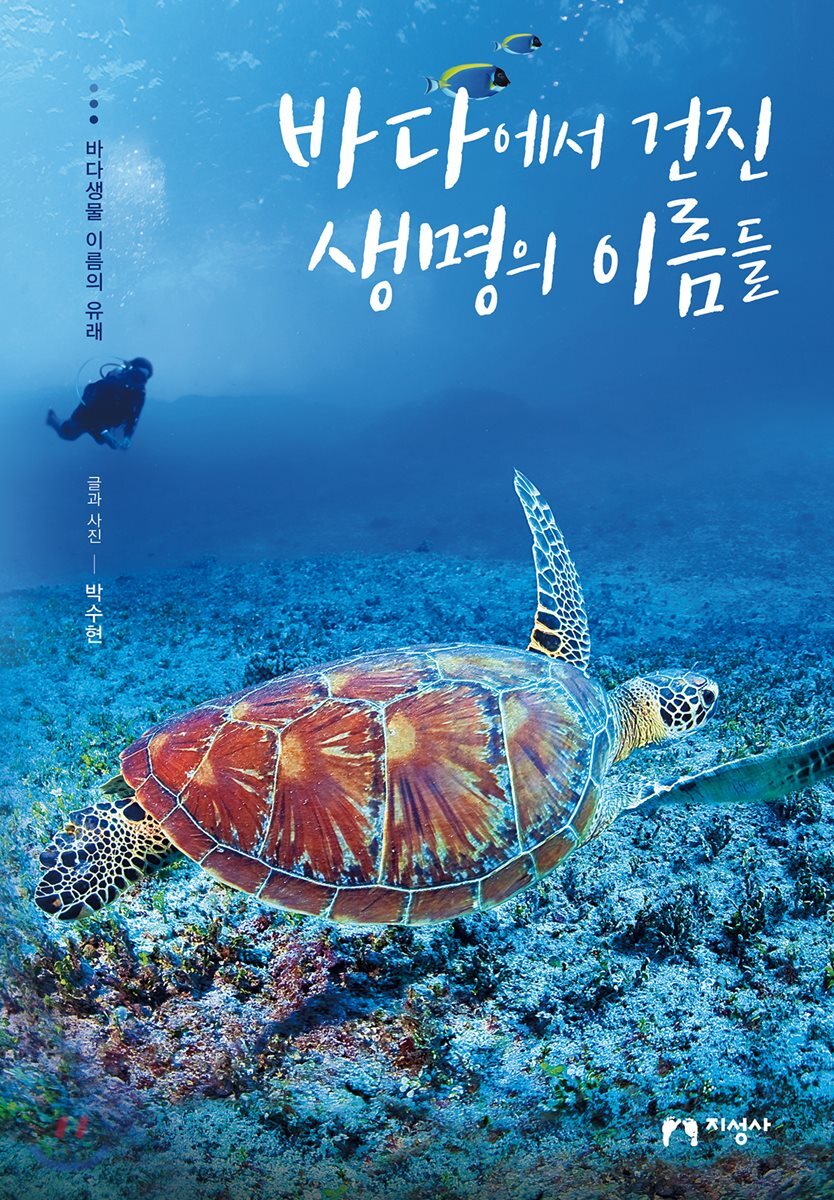 바다에서 건진 생명의 이름들