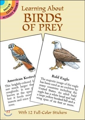 Learning About Birds of Prey