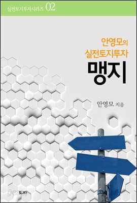 안영모의실전토지투자맹지