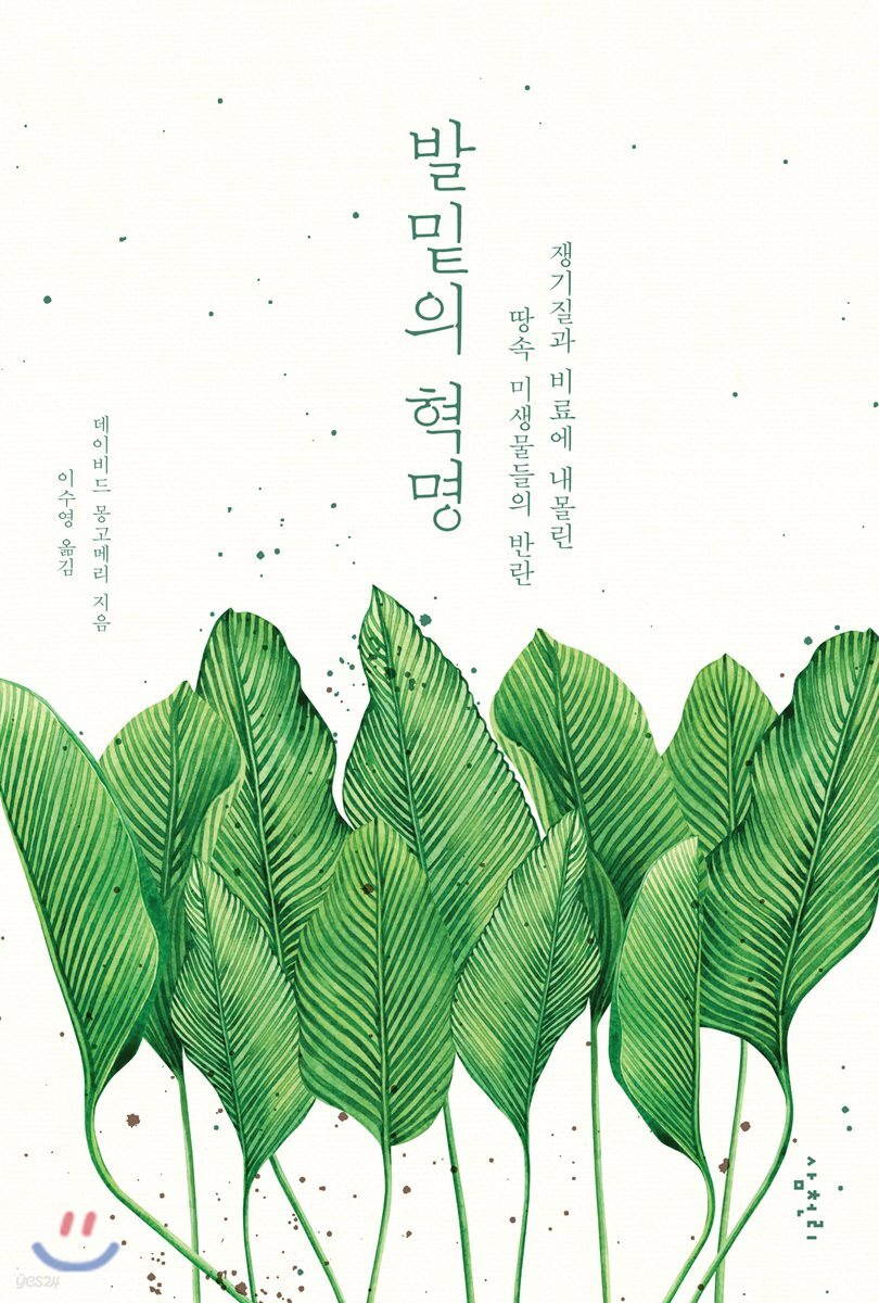 발밑의 혁명