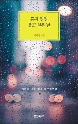 책 정보