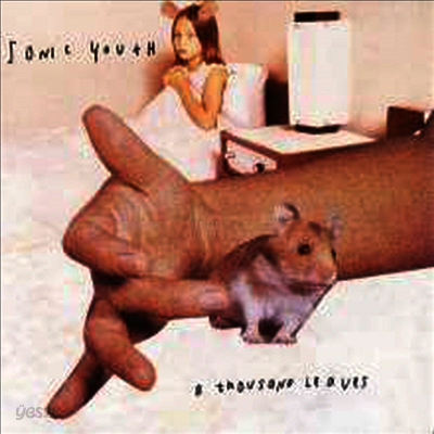 Sonic Youth - A Thousand Leaves (Download Card)(180G)(2LP)