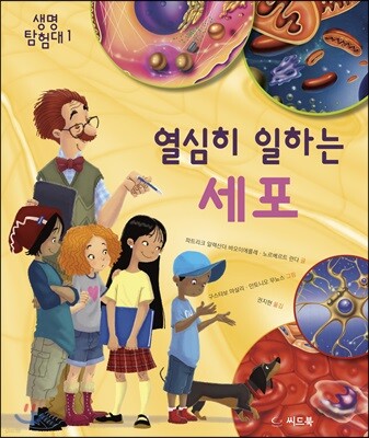 도서명 표기