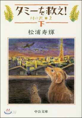 川の光(2)タミ-を救え! 下