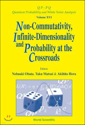 Non-Commutativity, Infinite-Dimensionality and Probability at the Crossroads, Procs of the Rims Workshop on Infinite-Dimensional Analysis and Quantum