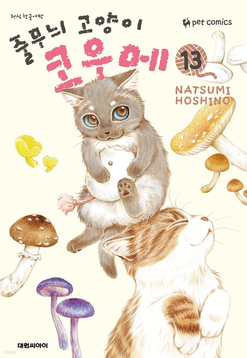 줄무늬 고양이 코우메 13권