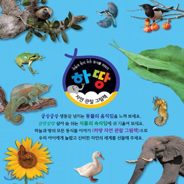 하땅 자연관찰 그림책 (본책 60권 외)