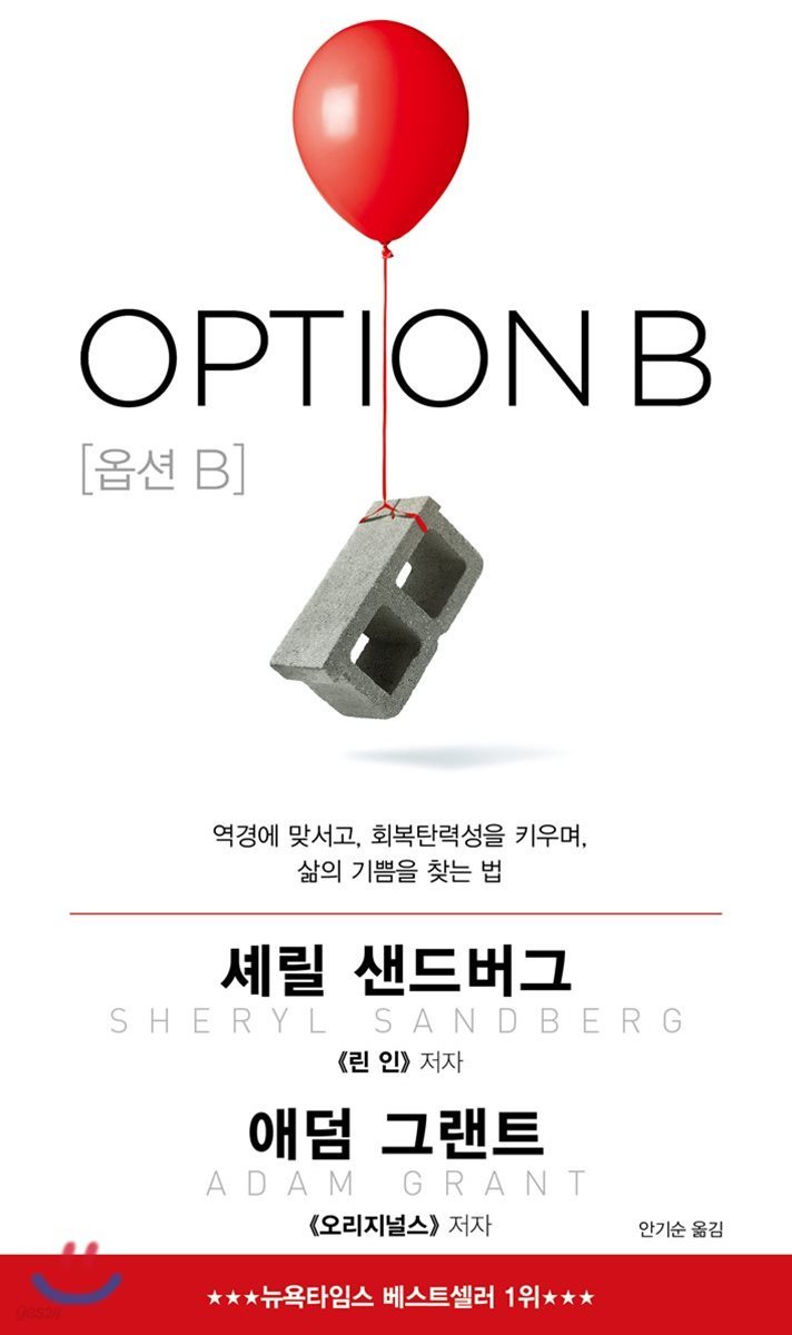 OPTION B 옵션 B