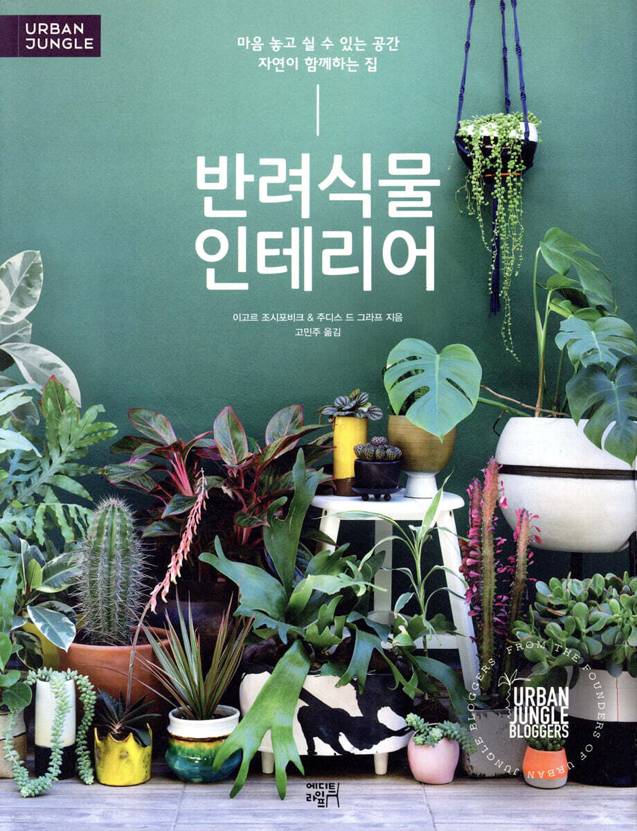 반려식물 인테리어