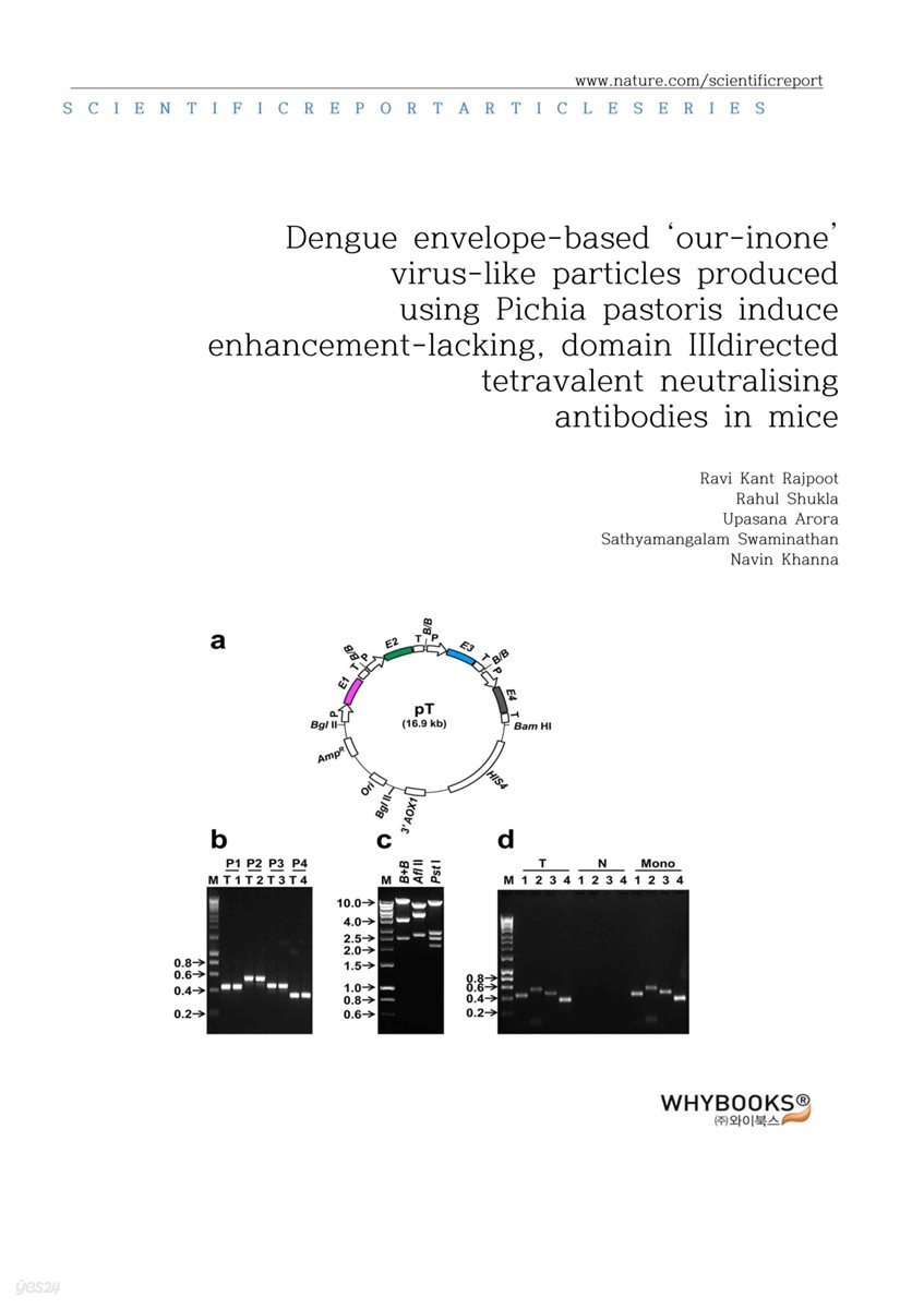 Dengue envelopebased fourinone viruslike particles produced using Pichia pastoris induce enhancementlacking, domain IIIdirected IIIdirected antibodies in mice