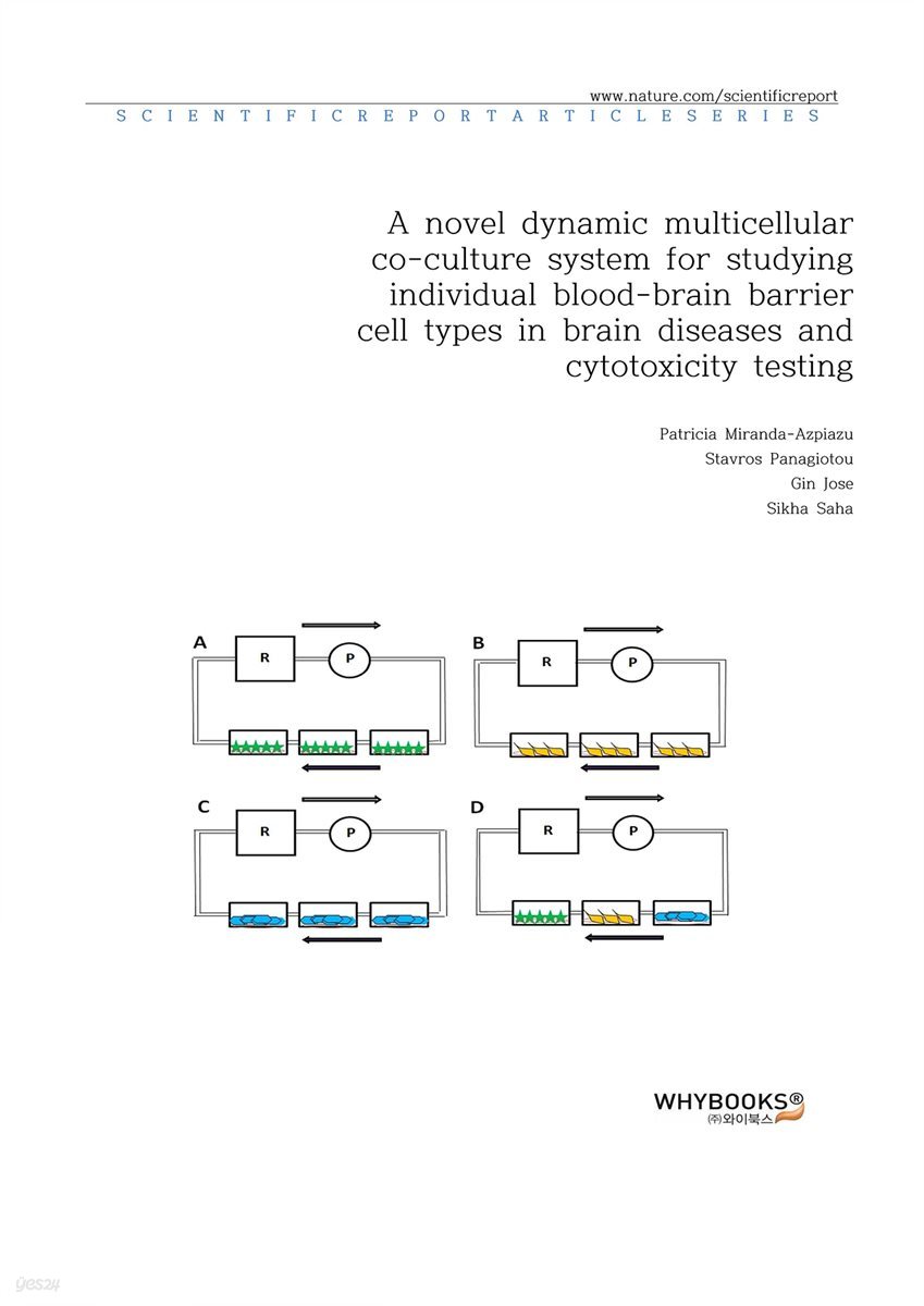 A novel dynamic multicellular co-culture system for studying individual blood-brain barrier cell types in brain diseases and cytotoxicity testing