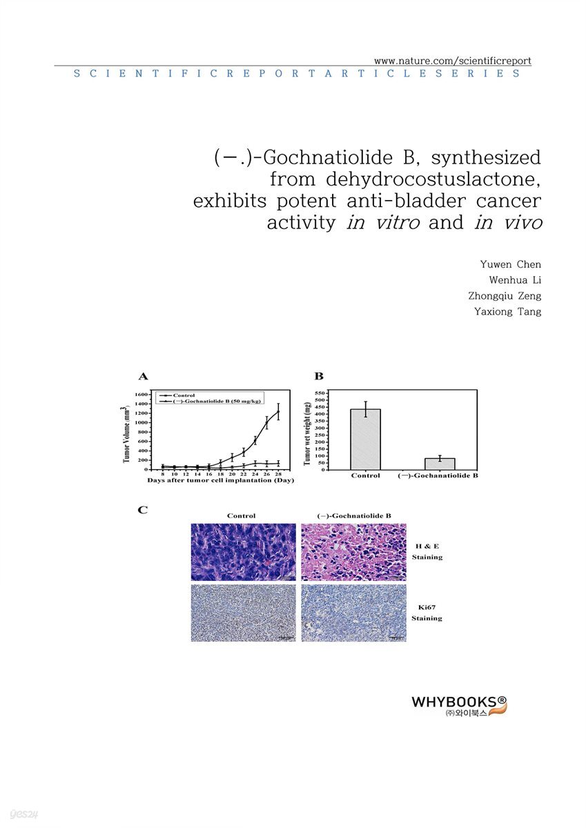 (?)-Gochnatiolide B, synthesized from dehydrocostuslactone, exhibits potent anti-bladder cancer activity in vitro and in vivo