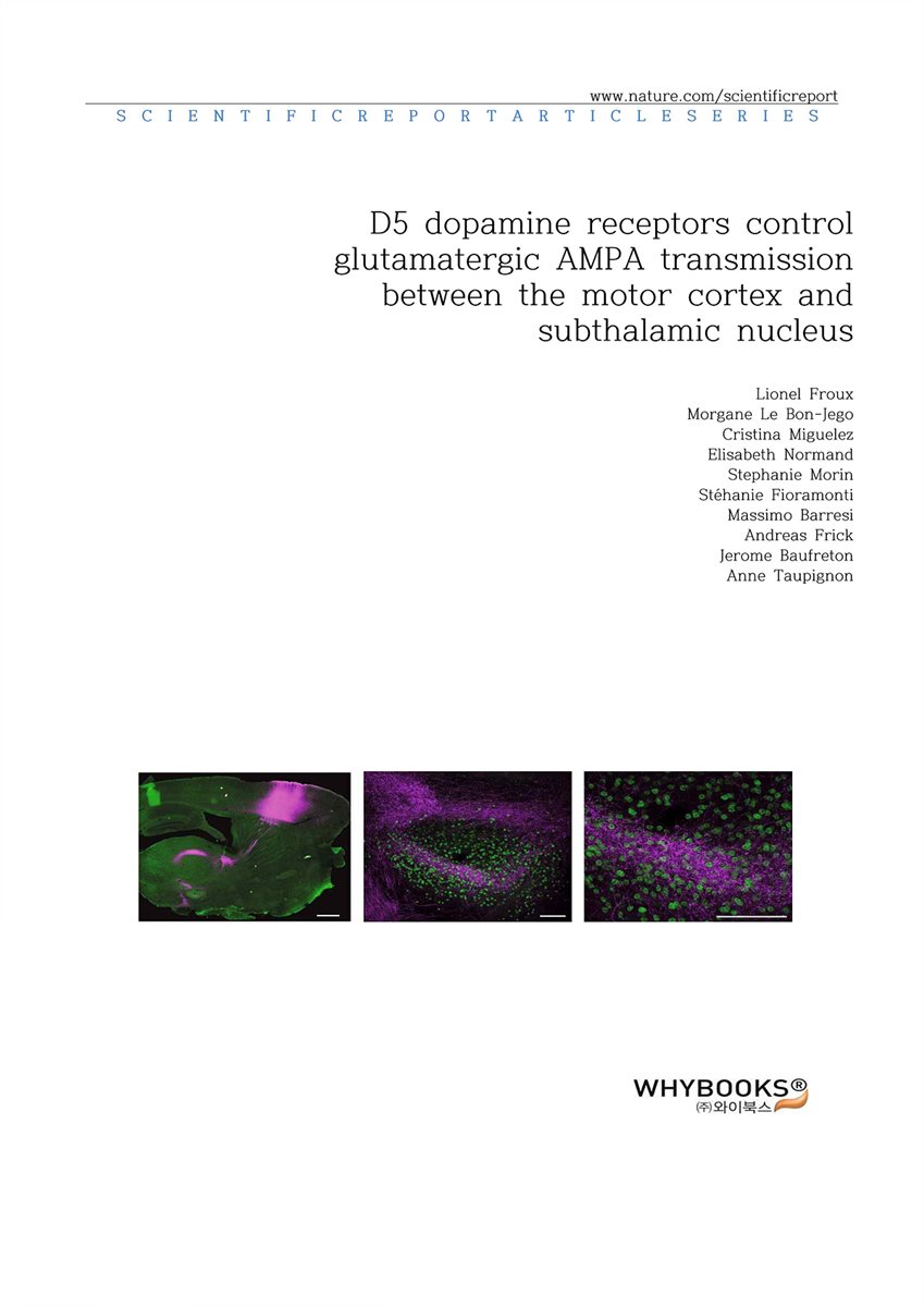 D5 dopamine receptors control glutamatergic AMPA transmission between the motor cortex and subthalamic nucleus