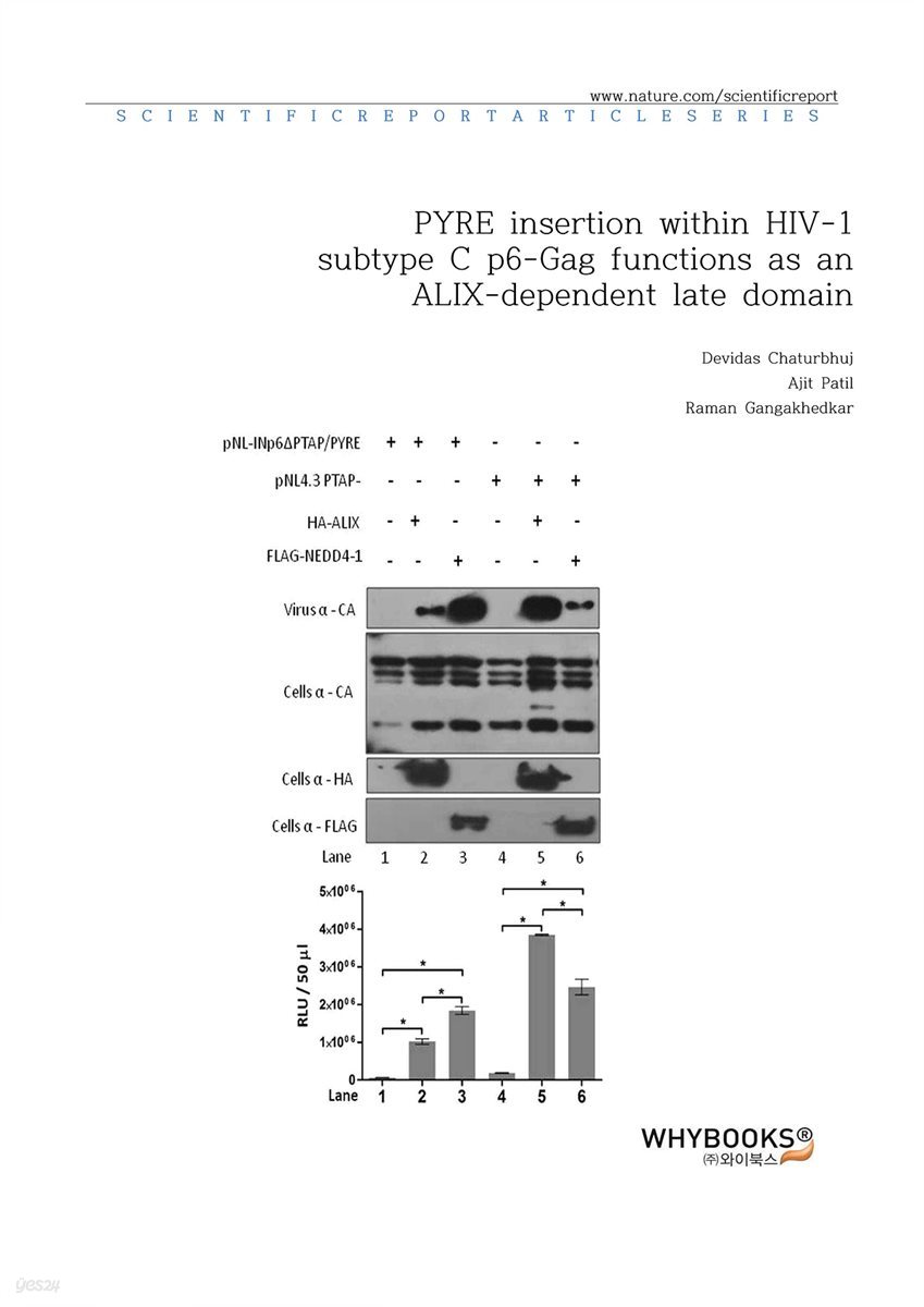 PYRE insertion within HIV-1 subtype C p6-Gag functions as an ALIX-dependent late domain