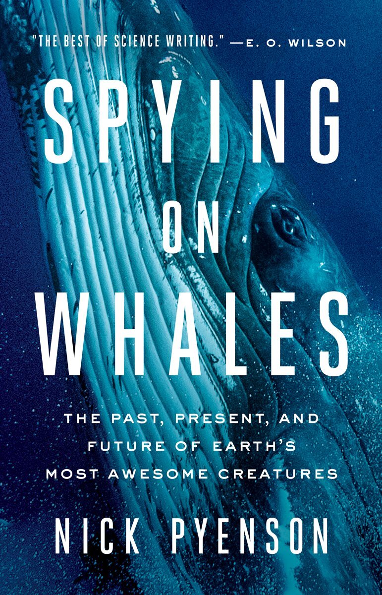 Spying on Whales