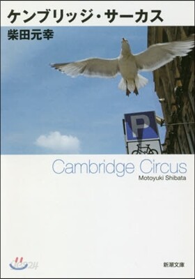 ケンブリッジ.サ-カス