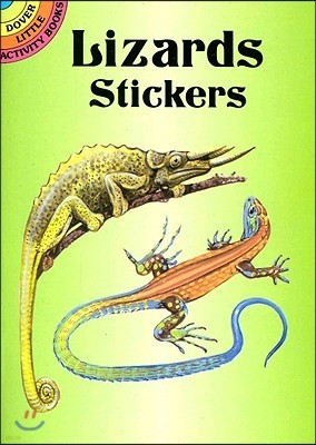 Lizards Stickers