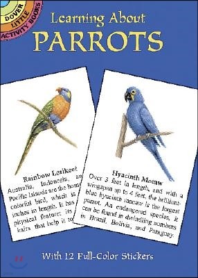 Learning about Parrots