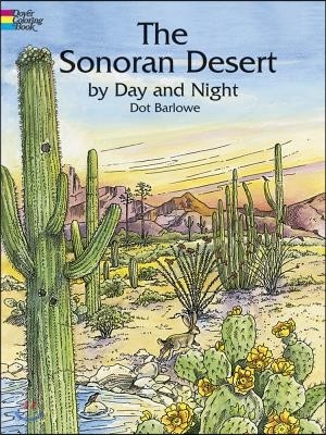 The Sonoran Desert by Day and Night Coloring Book