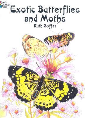 Exotic Butterflies and Moths Cb