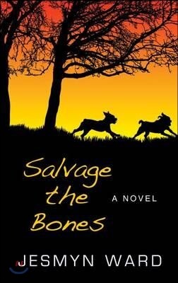 Salvage the Bones