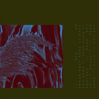 Pariah — Here From Where We Are 앨범 커버