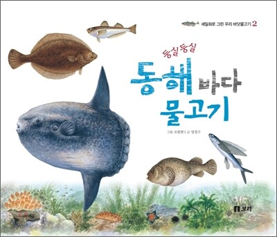 둥실둥실 동해 바다 물고기