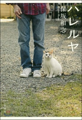 ハレルヤ