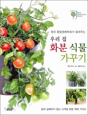 우리 집 화분 식물 가꾸기