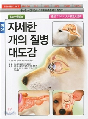 자세한 개의 질병 대도감