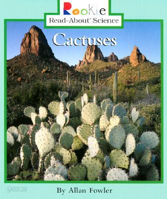 Cactuses