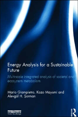 Energy Analysis for a Sustainable Future