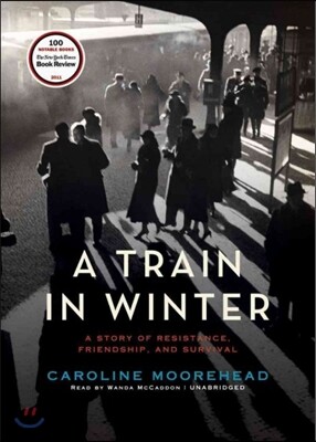 A Train in Winter