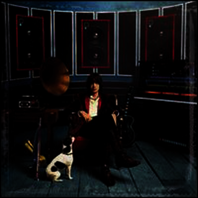 Julian Casablancas - Phrazes for the Young (LP)