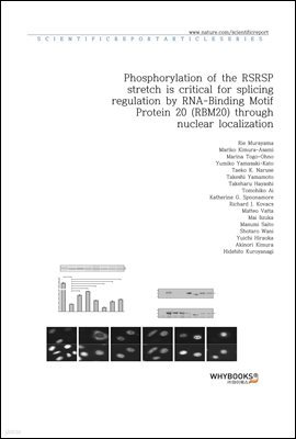 Phosphorylation of the RSRSP stretch is critical for splicing regulation by RNA-Binding Motif Protein 20 (RBM20) through nuclear localization