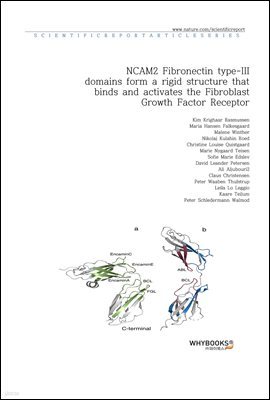 NCAM2 Fibronectin type-III domains form a rigid structure that binds and activates the Fibroblast Growth Factor Receptor