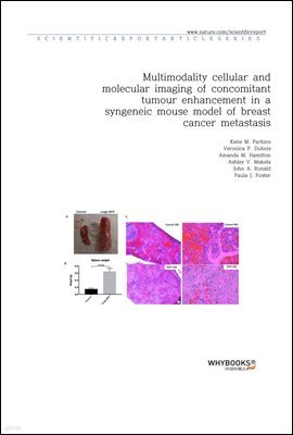 Multimodality cellular and molecular imaging of concomitant tumour enhancement in a syngeneic mouse model of breast cancer metastasis