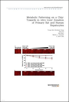 Metabolic Patterning on a Chip; Towards in vitro Liver Zonation of Primary Rat and Human Hepatocytes