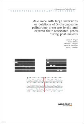 Male mice with large inversions or deletions of X-chromosome palindrome arms are fertile and express their associated genes during post-meiosis