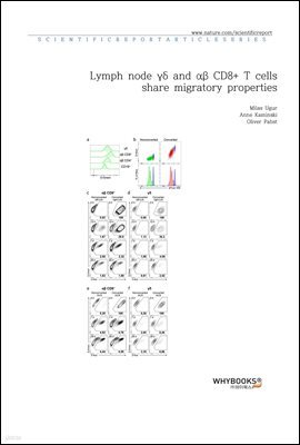 Lymph node  and  CD8+ T cells share migratory properties